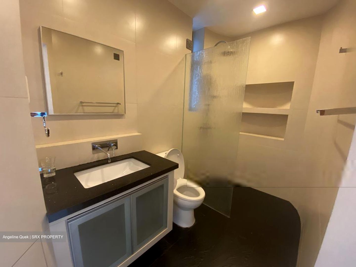 Valley Park (D10), Condominium #603698761
